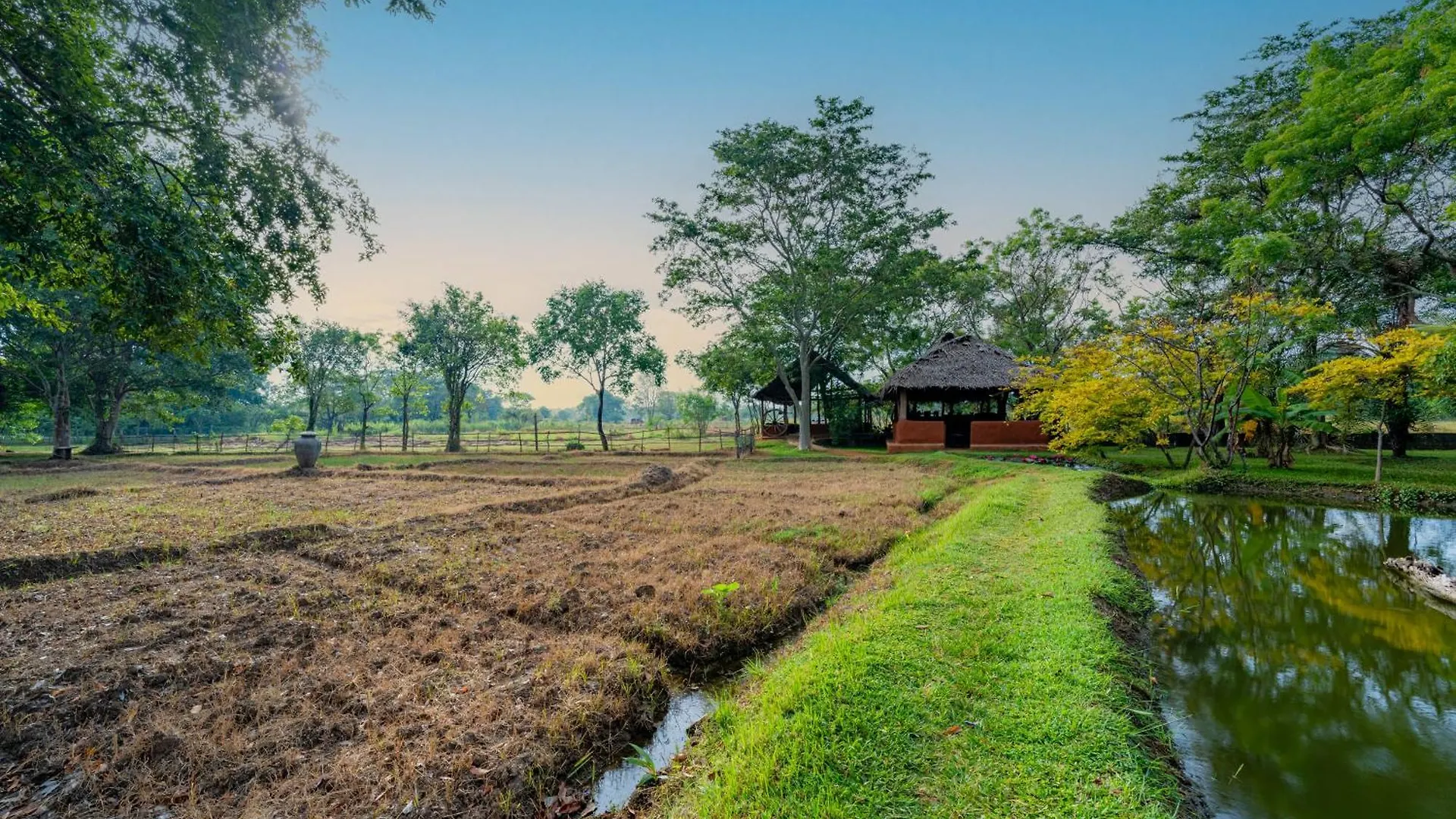Resort Kassapa Lions Rock Hotel Sigiriya