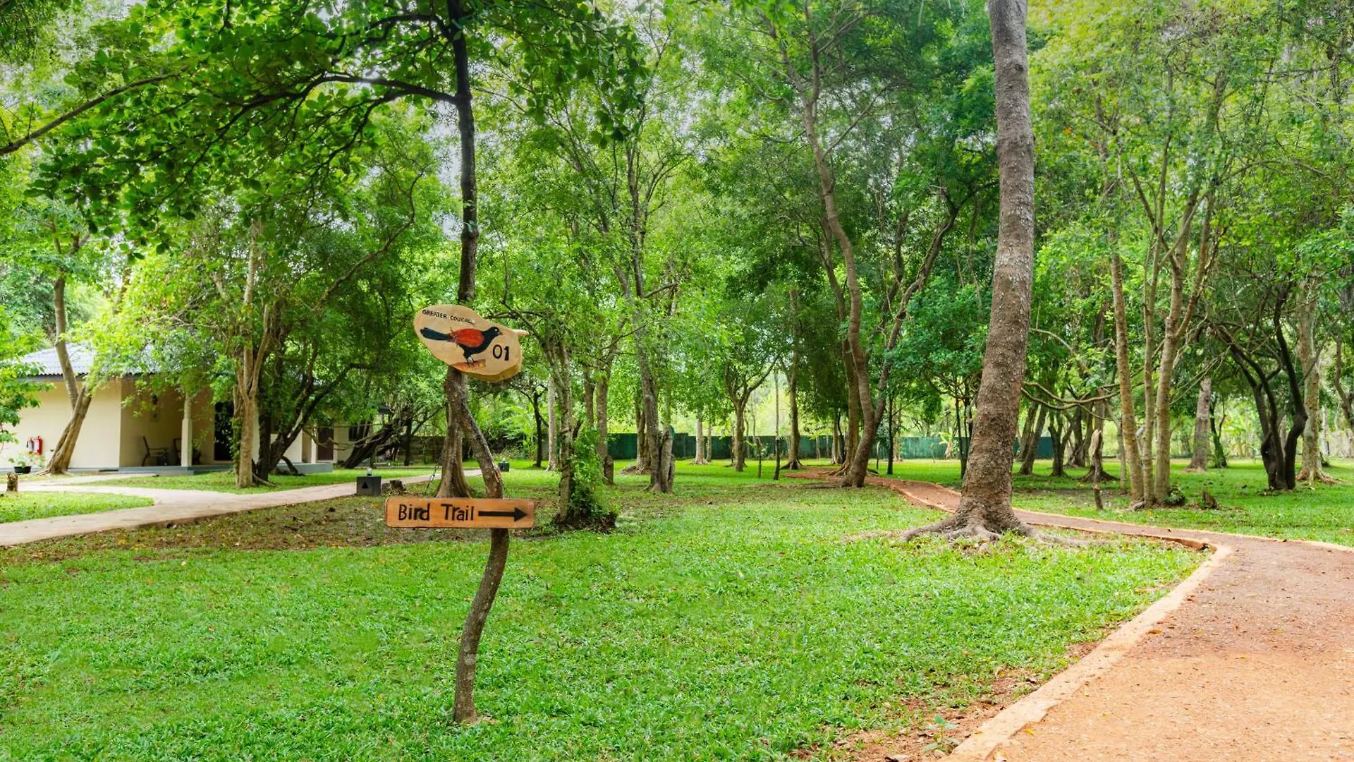 **** Resort Kassapa Lions Rock Hotel Sigiriya Sri Lanka
