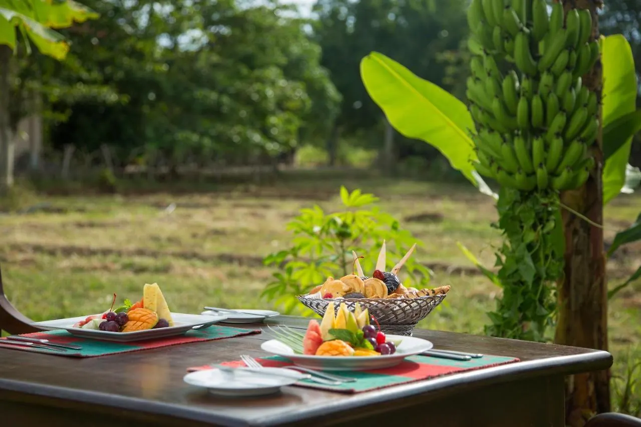 Resort Kassapa Lions Rock Hotel Sigiriya